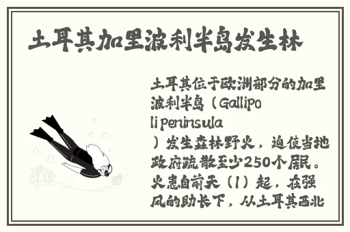 锵锵锵锵铜铜铜好大